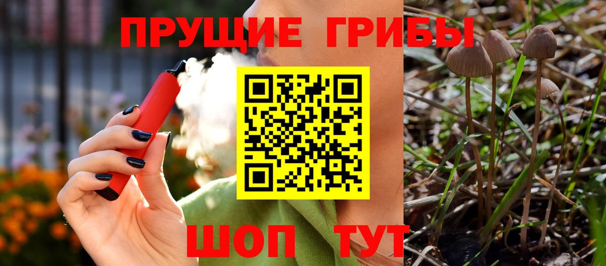 Галлюциногенные грибы Cubensis Семёнов
